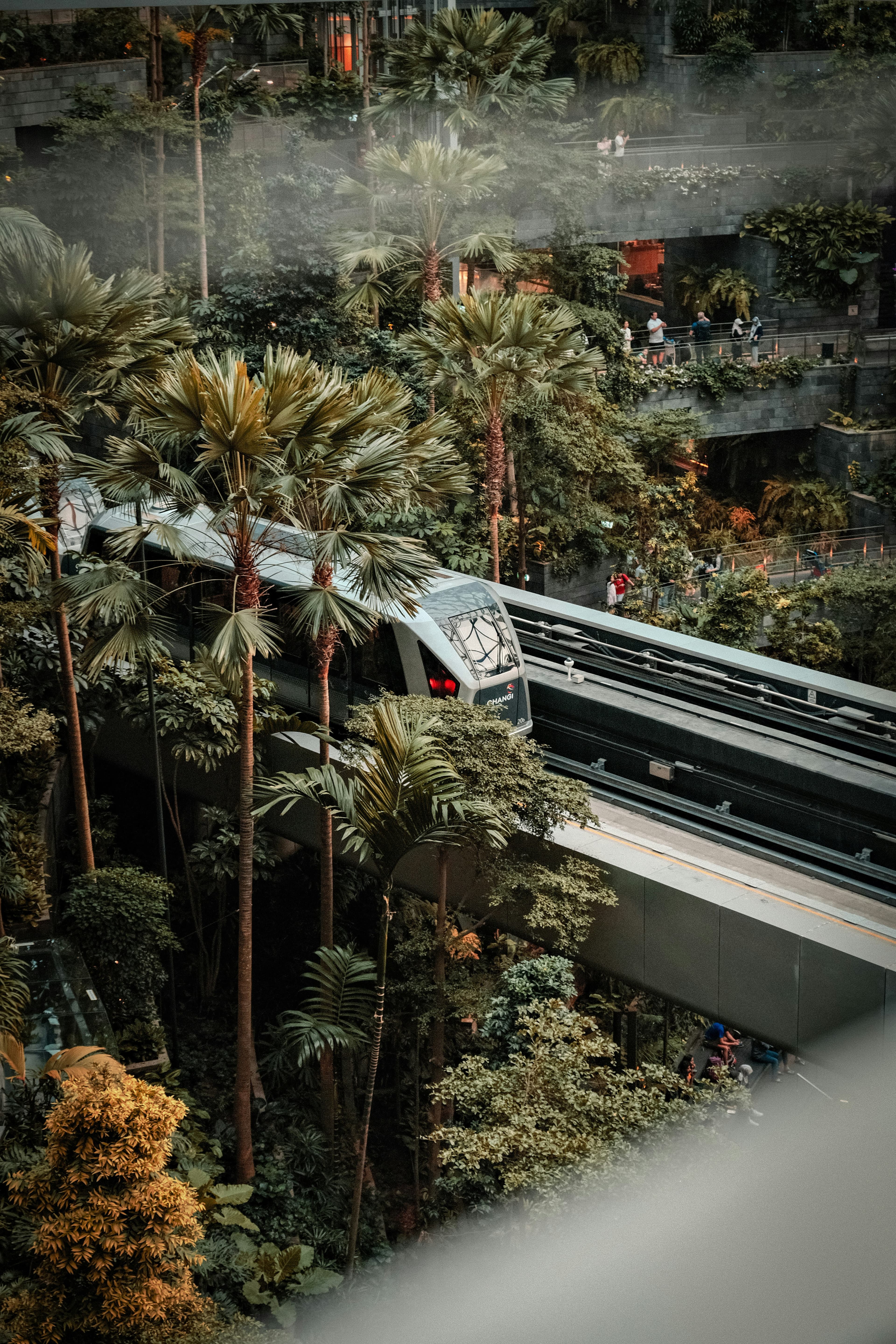 Singapore neighbourhood view