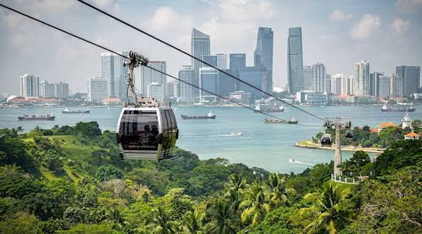 Singapore Cable Car cabin above tropical greenery with the city skyline beyond
